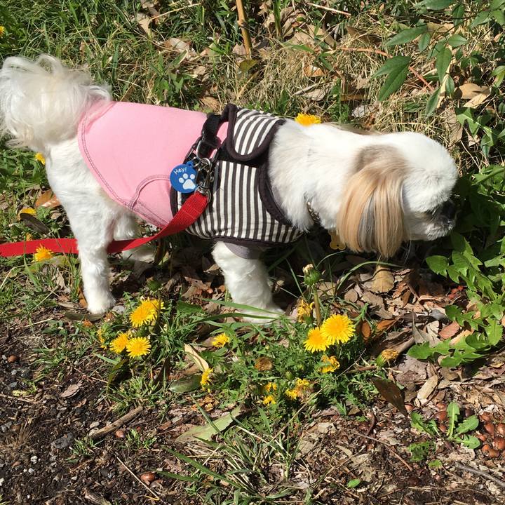 528600eb 3433 44c7 aa98 87da51378ba2 1585802948799