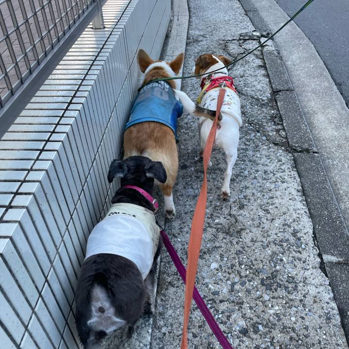 52863091 42b6 4884 9677 fa254aa7d1ca 1697952145389