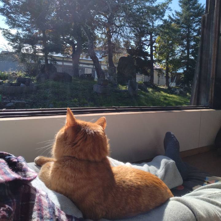 52868d01 81e7 4b37 a3b4 583afeaf0112 1700035046164