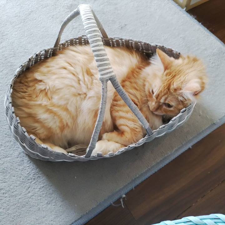 5286aa3e 2268 429e ab9e 8b189d2cd786 1660047426448