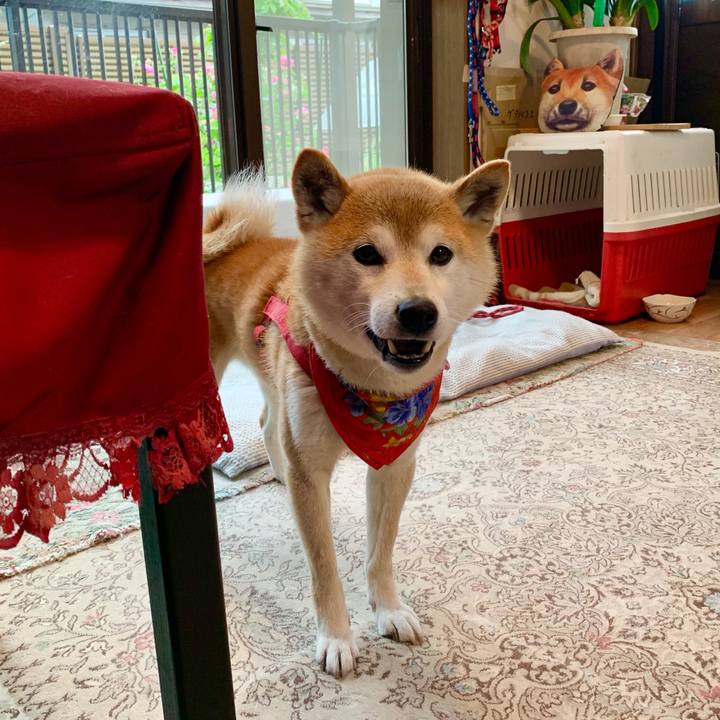 5286acd2 4756 47f0 b7cd 6ed1c278d078 1621845339849