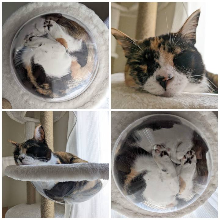 5286ad6e 8a99 44c1 b71e c916625e891d 1685071759042