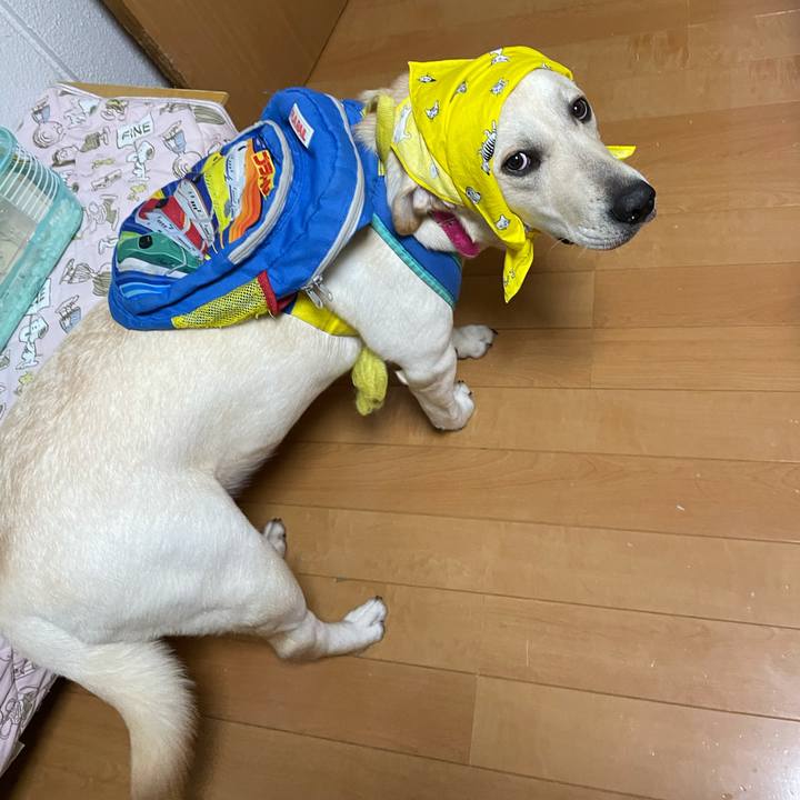 5286bc85 d77c 4157 81b1 8cf32241eb8a 1633351297907