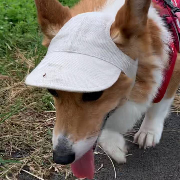 5286d7c4 f658 4b04 a83d c6fe3c2d2050 1659228206221