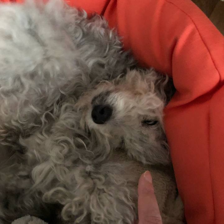 528703b6 6f72 4688 8b35 d2c9cb48023e 1522884675740