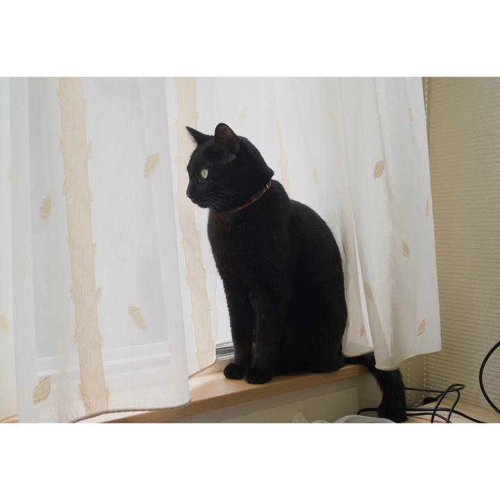 52872226 4438 4a4e a409 b98139cb876c 1602632809932