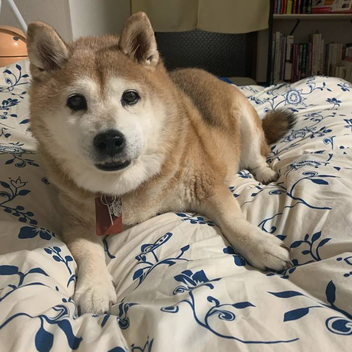 52873483 d89c 45f0 9ecc 771f2d7b8415 1601127678886