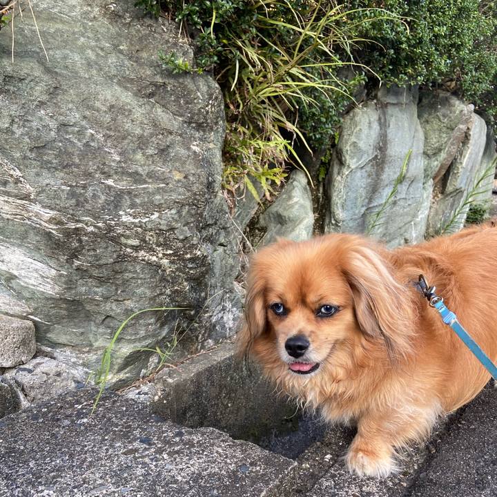 5287438c 4819 42c7 a983 59053628aaed 1598220204102