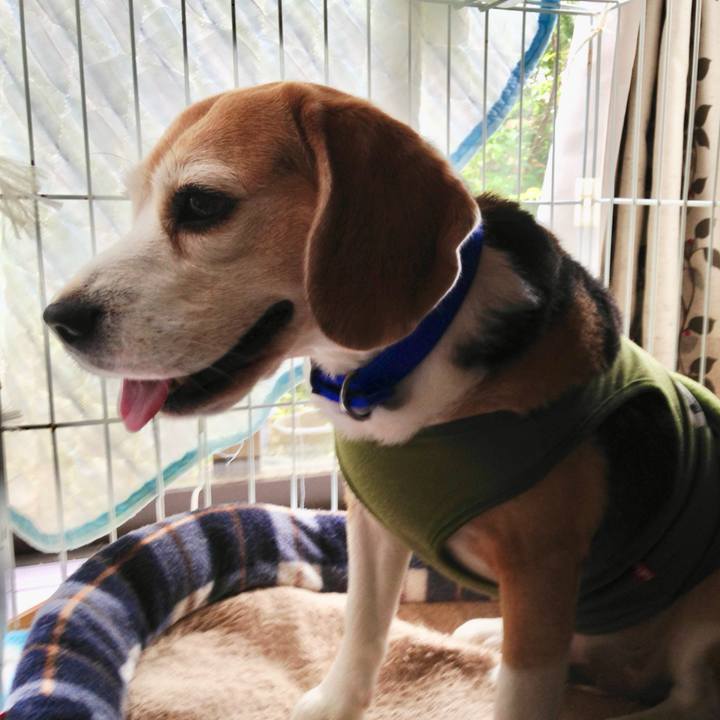 52874d8f daa1 4243 b1fc 4b60644453e1 1748995639821