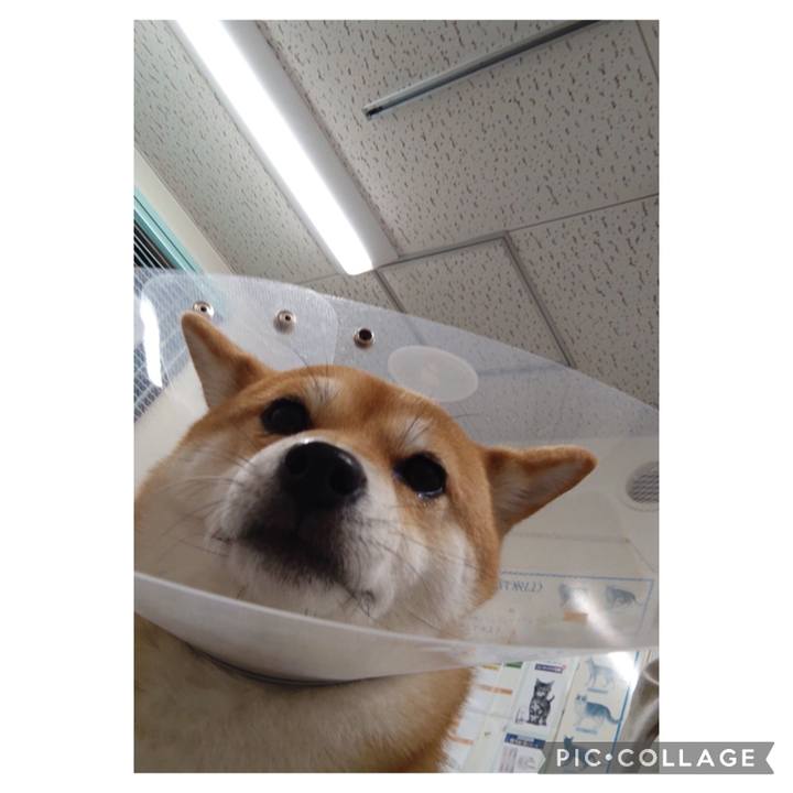 528761e9 4fb0 49e6 bf4f 74691a9d7299 1698735308887