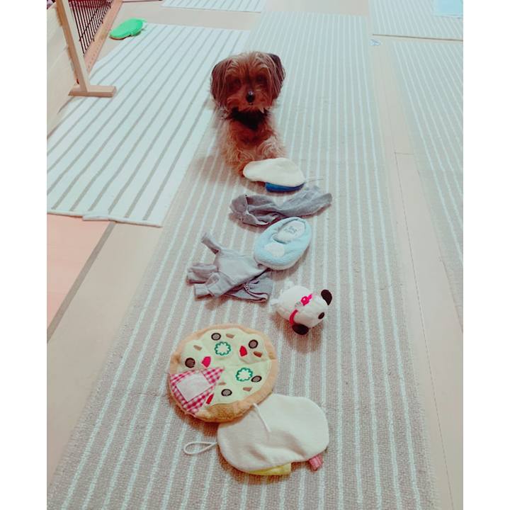 5287c24c 180c 428a 9c18 06f767403b90 1585696093015