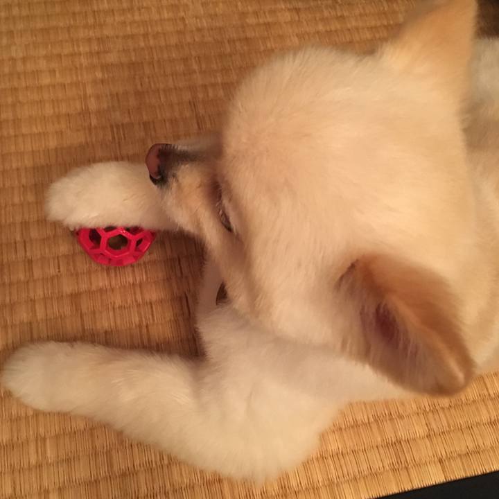 5287d829 c042 4f2c 984b 43658ec8b14a 1594550799265