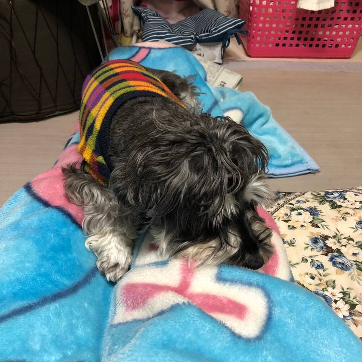 5287ebdd d3cd 4514 840e fff78f3b30cb 1639643958188