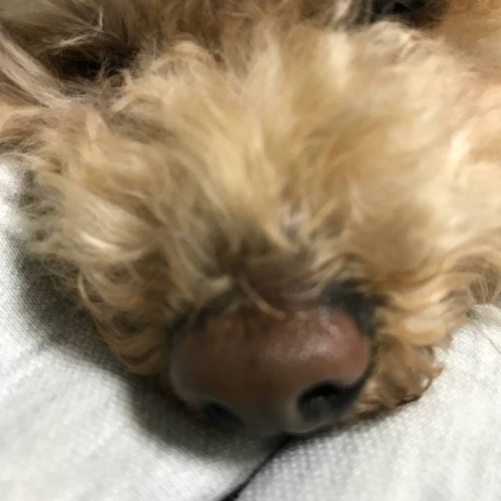 5288027e 3e7c 41d7 9cdd 3824a05b3658 1523959883720