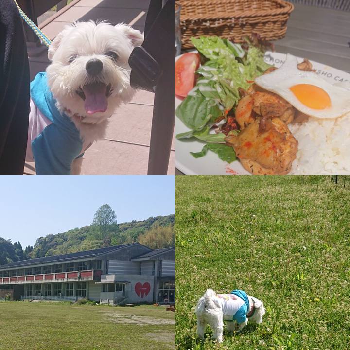 52881b51 31d2 43ec a131 a64e18facf91 1618735123344