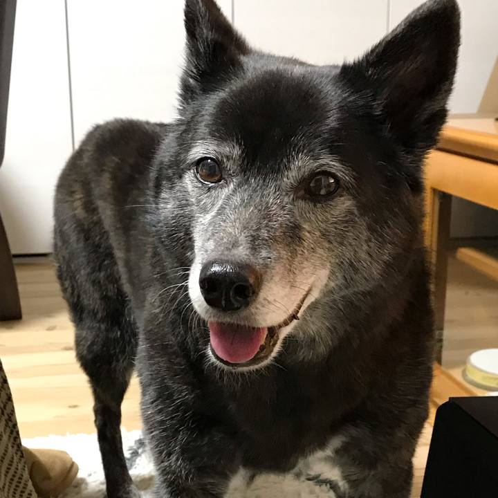 52885313 4850 4c81 a0ef 45db26a58394 1645060436867