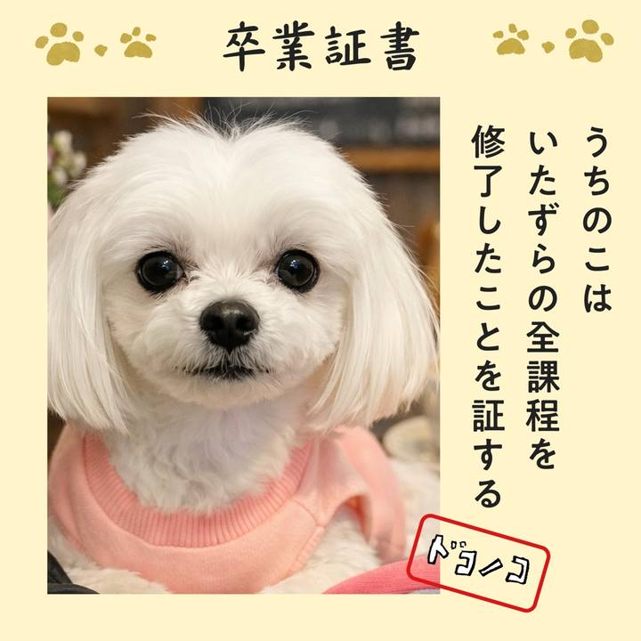 528854c9 ee5c 4d0e 9502 0715182c5dc3 1771993343422