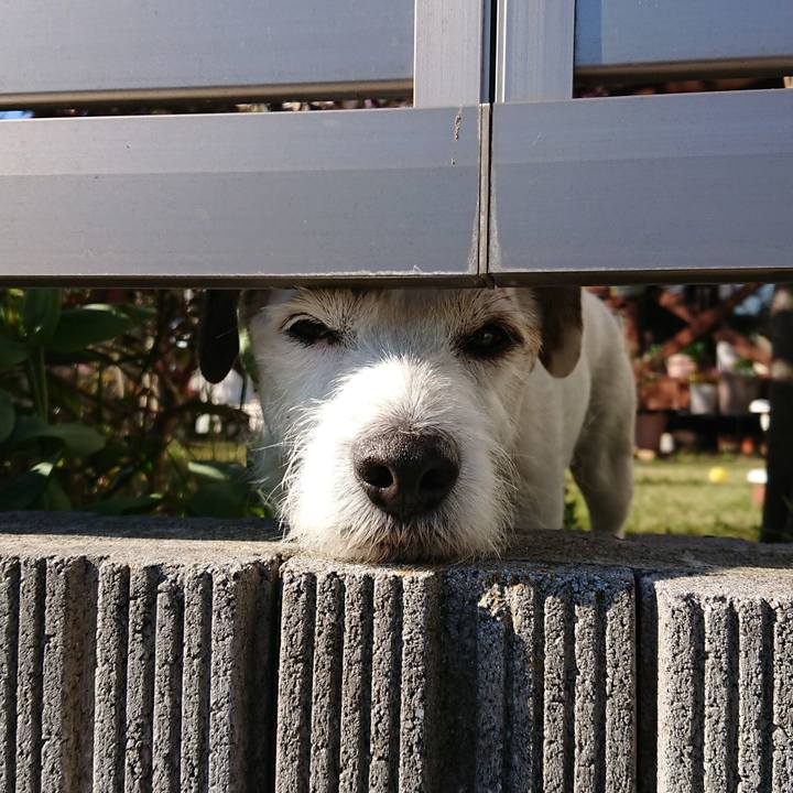 5288787b b342 46d7 af2b f327cd209559 1552348094327