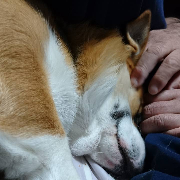 5288aa50 e5ff 47e2 943a 0c1eb993c734 1595333280130