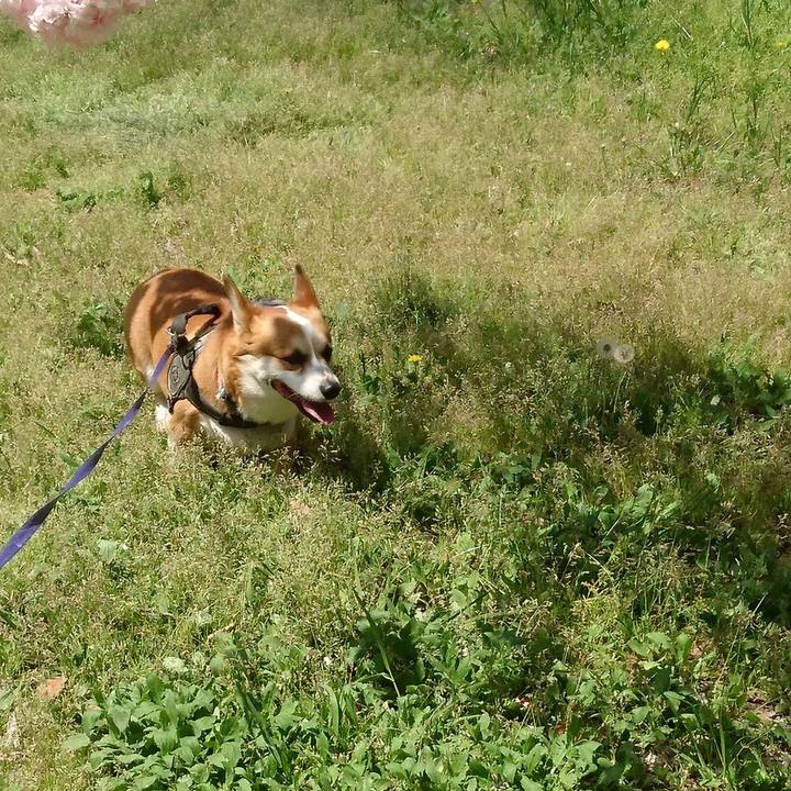 5288c070 0f9a 45a1 9031 d4b5137756e1 1650114929983