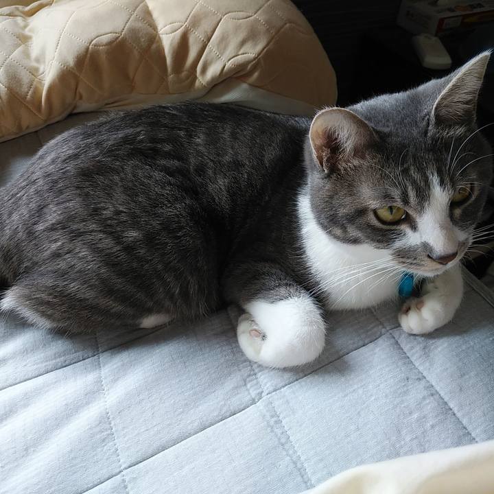 5288c4a5 f27d 467d ac7e c0511a1e664d 1586225627060