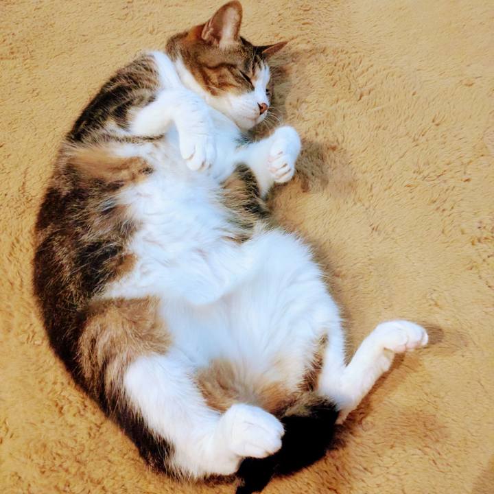 5288d566 7e68 4136 b05c 152147885cd3 1674731528085