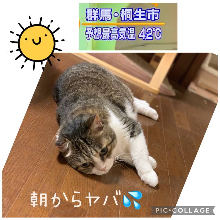 5288f03b 45f3 4c6a 89c2 791b8d120be6 1754353625845