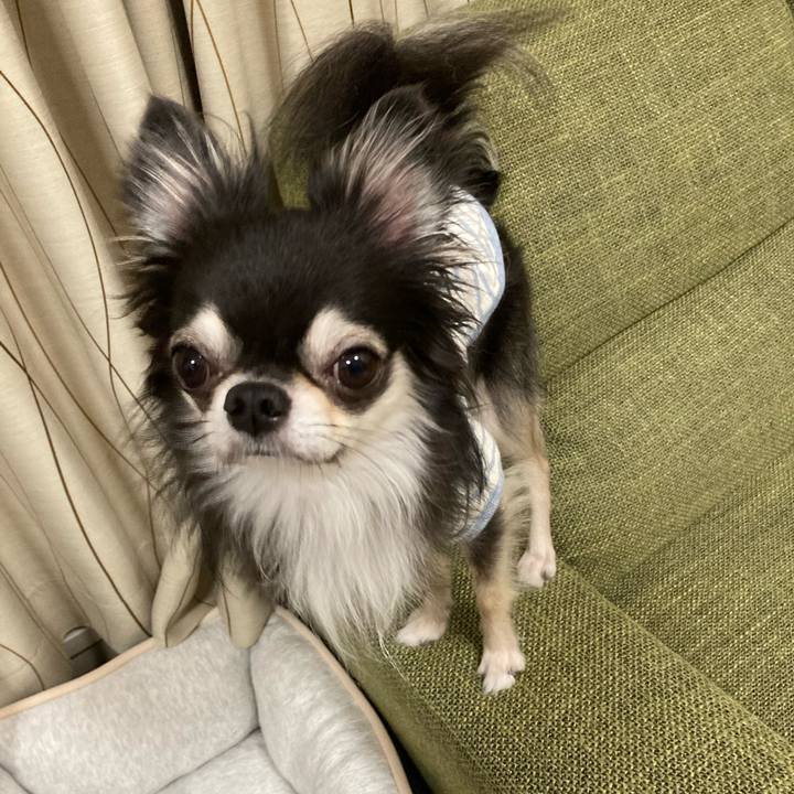 52890bd3 de1b 4e42 bb23 1ff2176538d0 1665409980131