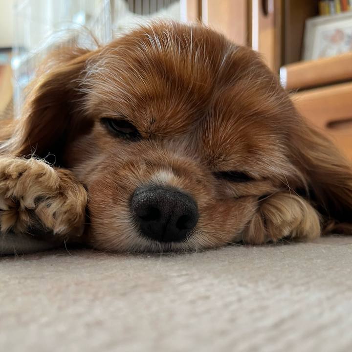 528920f6 9966 4aff a90f a3fa15a3c157 1738534838491