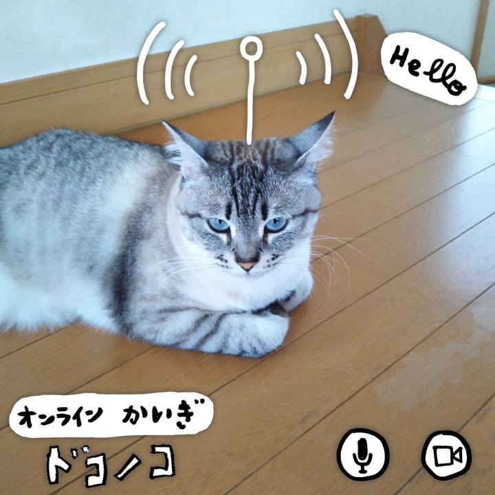 5289428f 20f9 4200 8445 73bebd3b3e7f 1590729976426