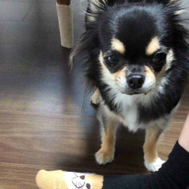 52894828 e7bd 41d2 b33b 2a2980410197 1565218528916