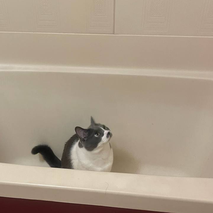 52895660 9b48 42dc 99a4 50a08b3a8e2a 1691934434209