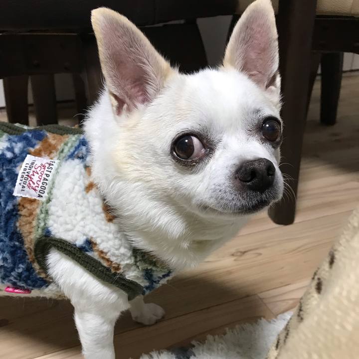 52897565 f69d 480e b7dd f55486eba8c8 1583924402765