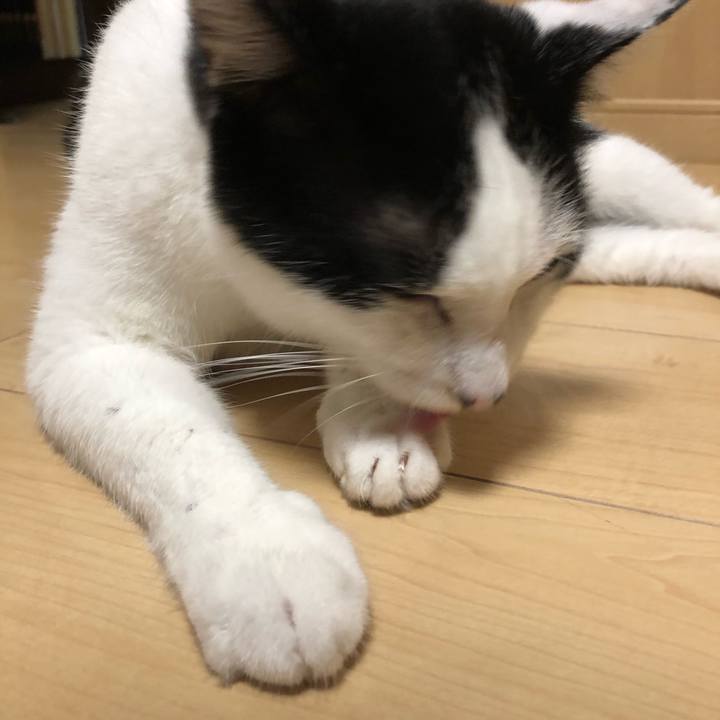 5289843c 13ee 460c 9203 b25d8573afd4 1566392832212