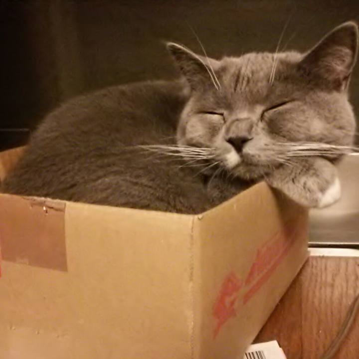 5289a202 8338 4d82 9e65 1082fc87612d 1550755424294