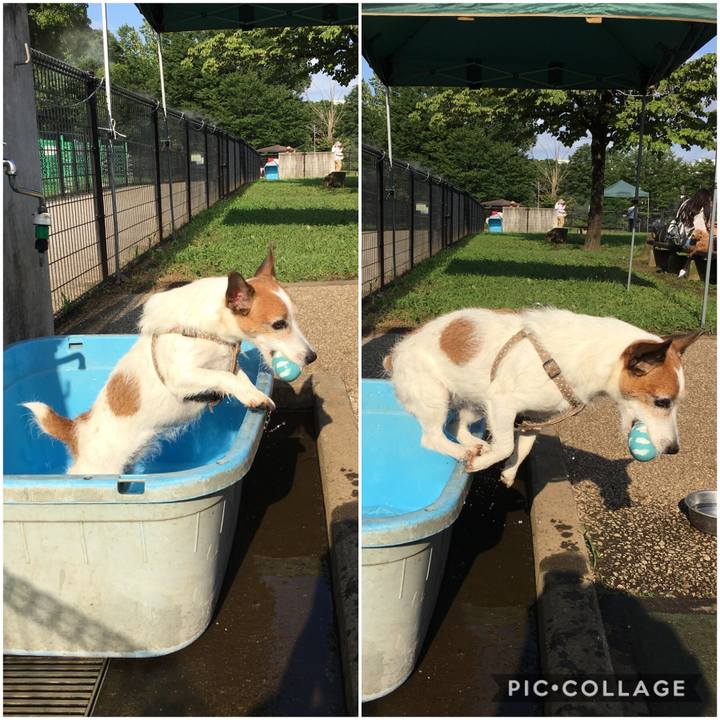 5289c3f3 fb3c 4593 95d9 e2922fcc21f1 1596497371884