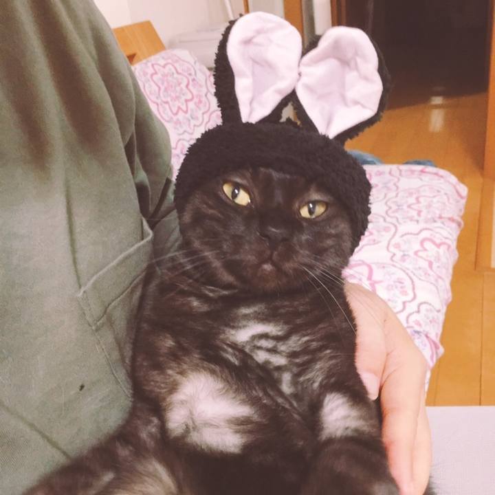 5289ccf4 820a 4da0 8913 13b6ddbd8ad6 1558672208423