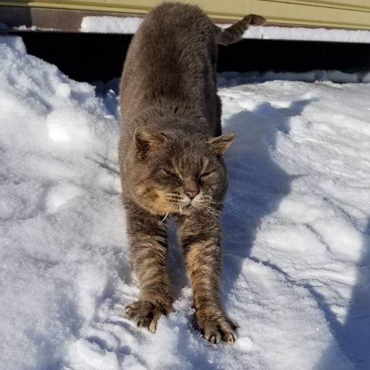 5289df6e a532 469a 8c6d fe25ac84f5f5 1548852043321