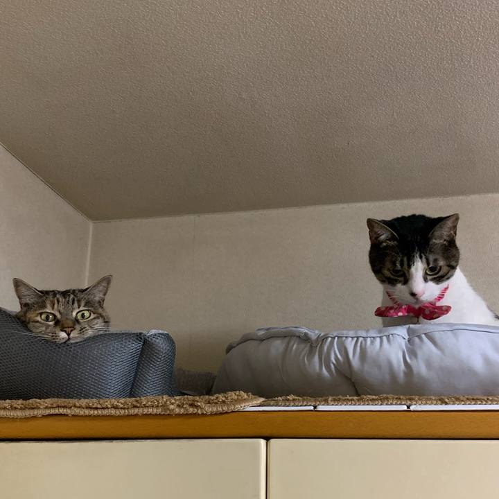 528a36ea 9950 422f a67d b861017e2b37 1657805136749