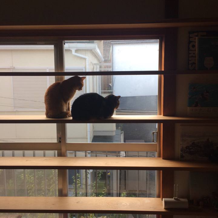 528a581b 04fe 40f3 abe4 f2bf0e3700ac 1510965192266