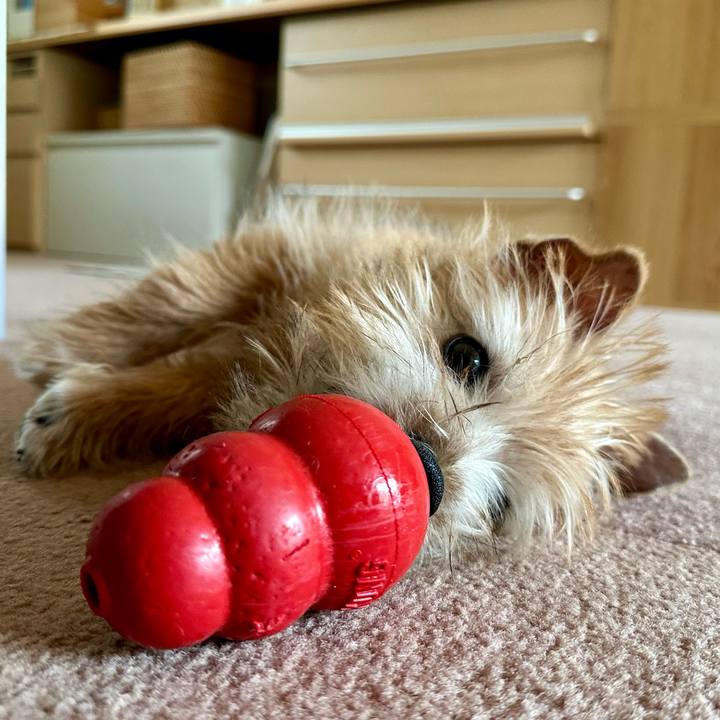 528aa05a bd8d 4447 b8d6 124fd1133b5a 1704380595843