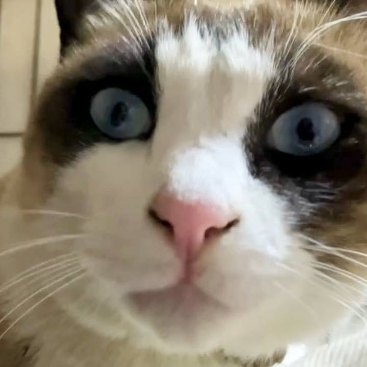 528ad91b 3963 4b2f b5a1 3f781a97c0db 1737192520866