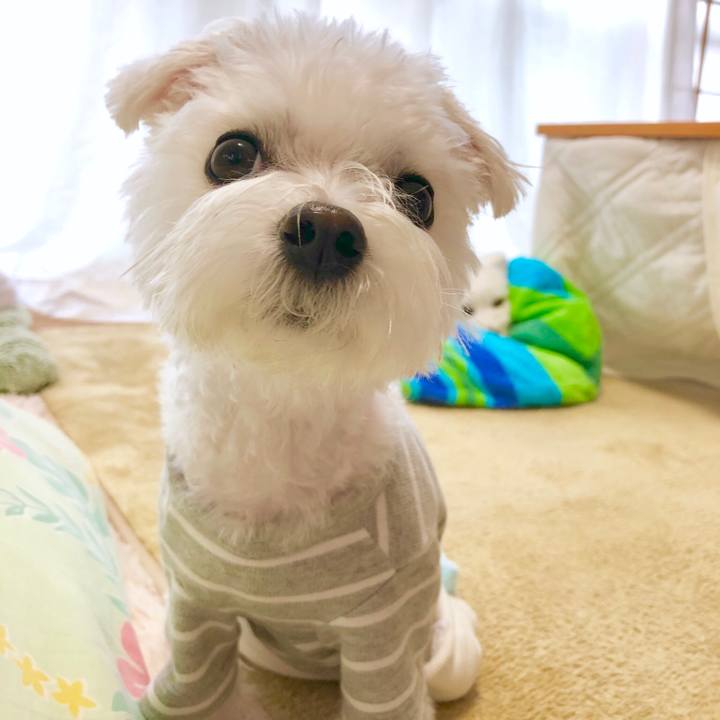 528ae792 5c43 4fab 878f 82e4ef6cef5d 1556360772687