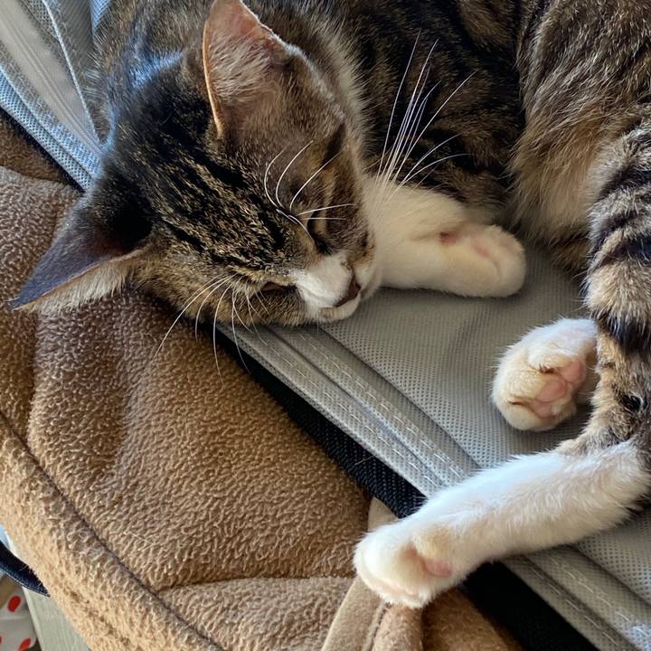 528b045d c0eb 41de 9d25 3af8ca24dca5 1604584238390