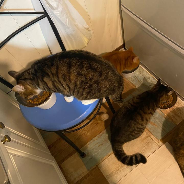 528b04af e80f 40cb 9c3f 5707eafebff3 1644503285514