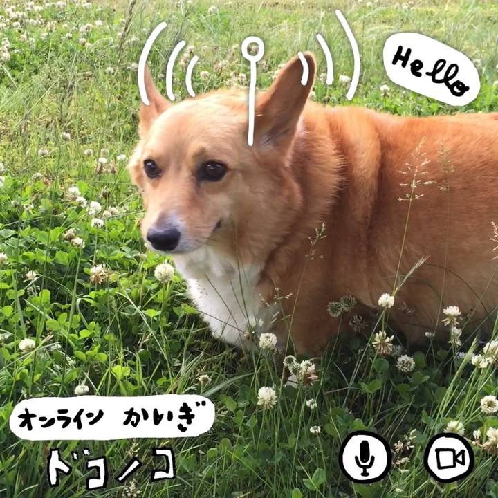 528b25c7 e957 4fdb 87eb 17d35ba82f65 1590766841676