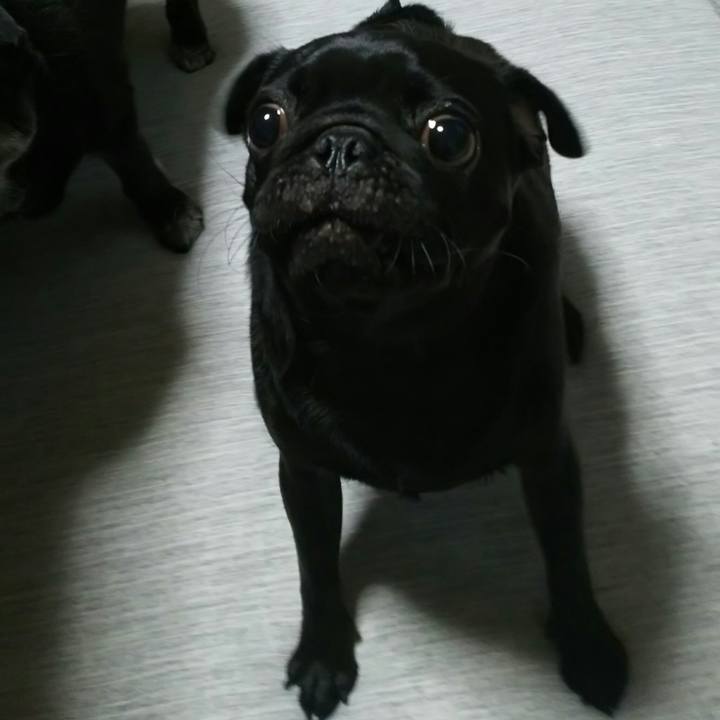 528b331f 96b3 476c 8ba2 618cade8fb39 1531919310981