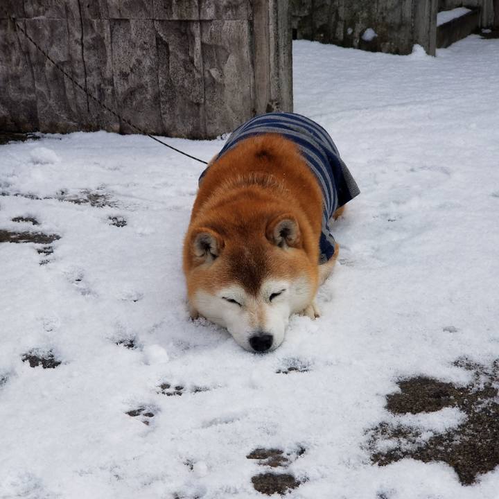 528b47ea 0439 494d 96f1 292c527cfd66 1672966886865