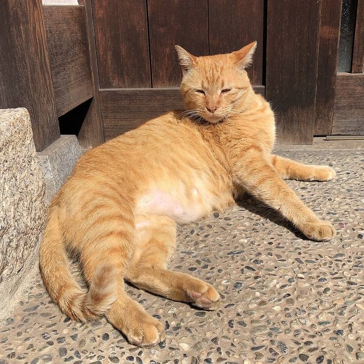 528b5aaa 497b 4861 8189 a22ea15b6adb 1650155017699