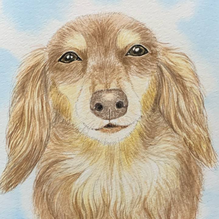 528ba0a0 165c 4936 a3b1 d314418b9f39 1698658995452